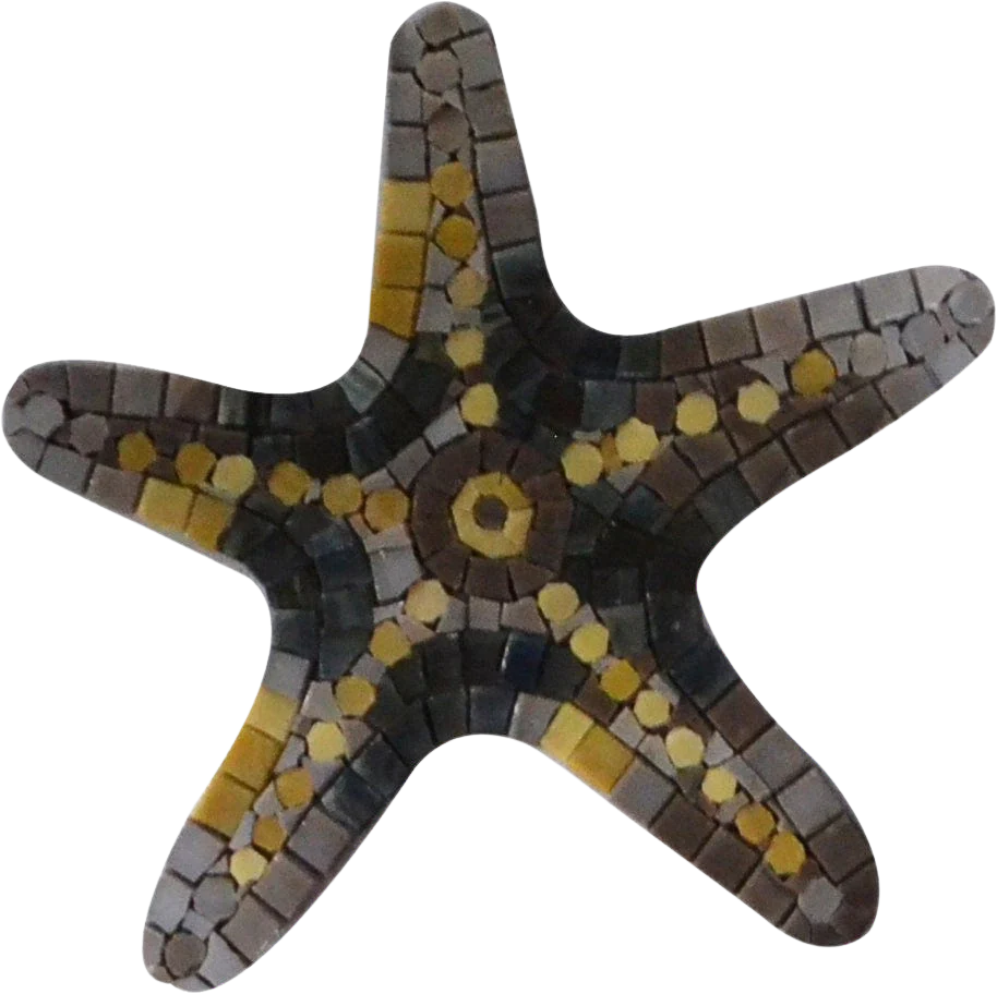 Starfish - Mosaic Wall Art