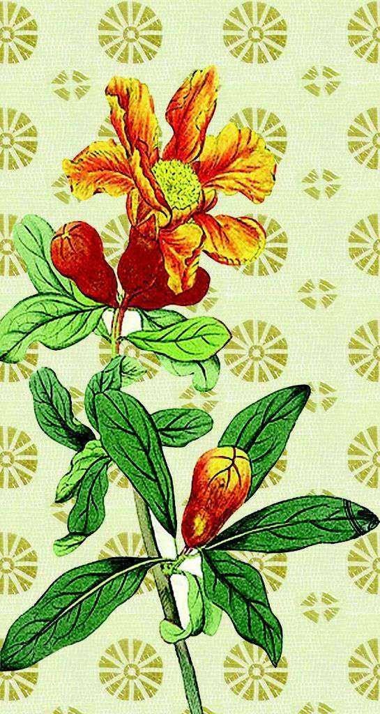 Stone Tile Mosaics - Two Flowers