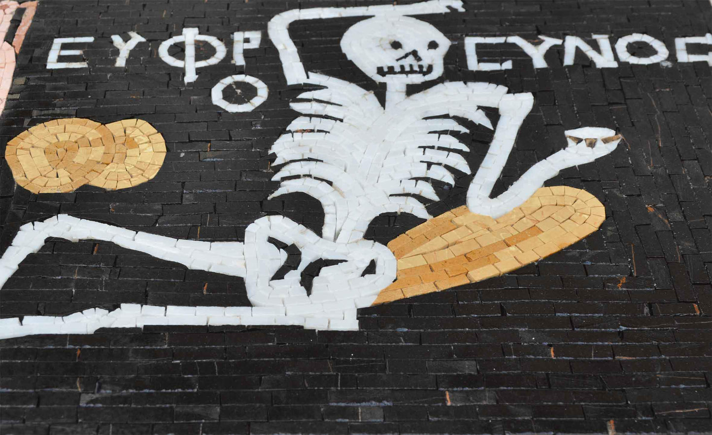 Mosaic Wall art - Gothic Skeleton