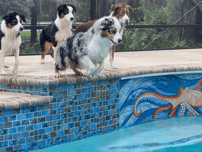 The Pacific Octopus Mosaic Art