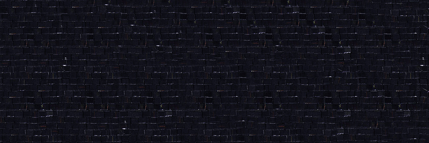 Rainbow Lion Art - Mosaic Fireplace