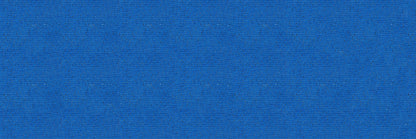 Perched Leopard - Fireplace Mosaic Border