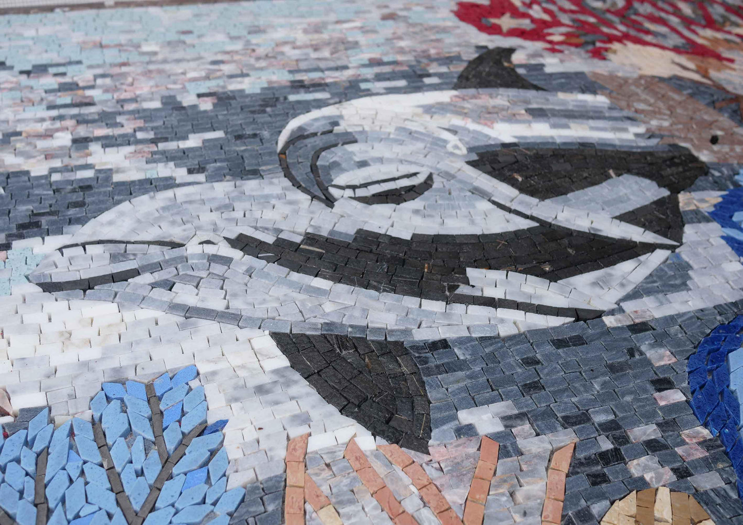 Coral Sea Dolphin Mosaic