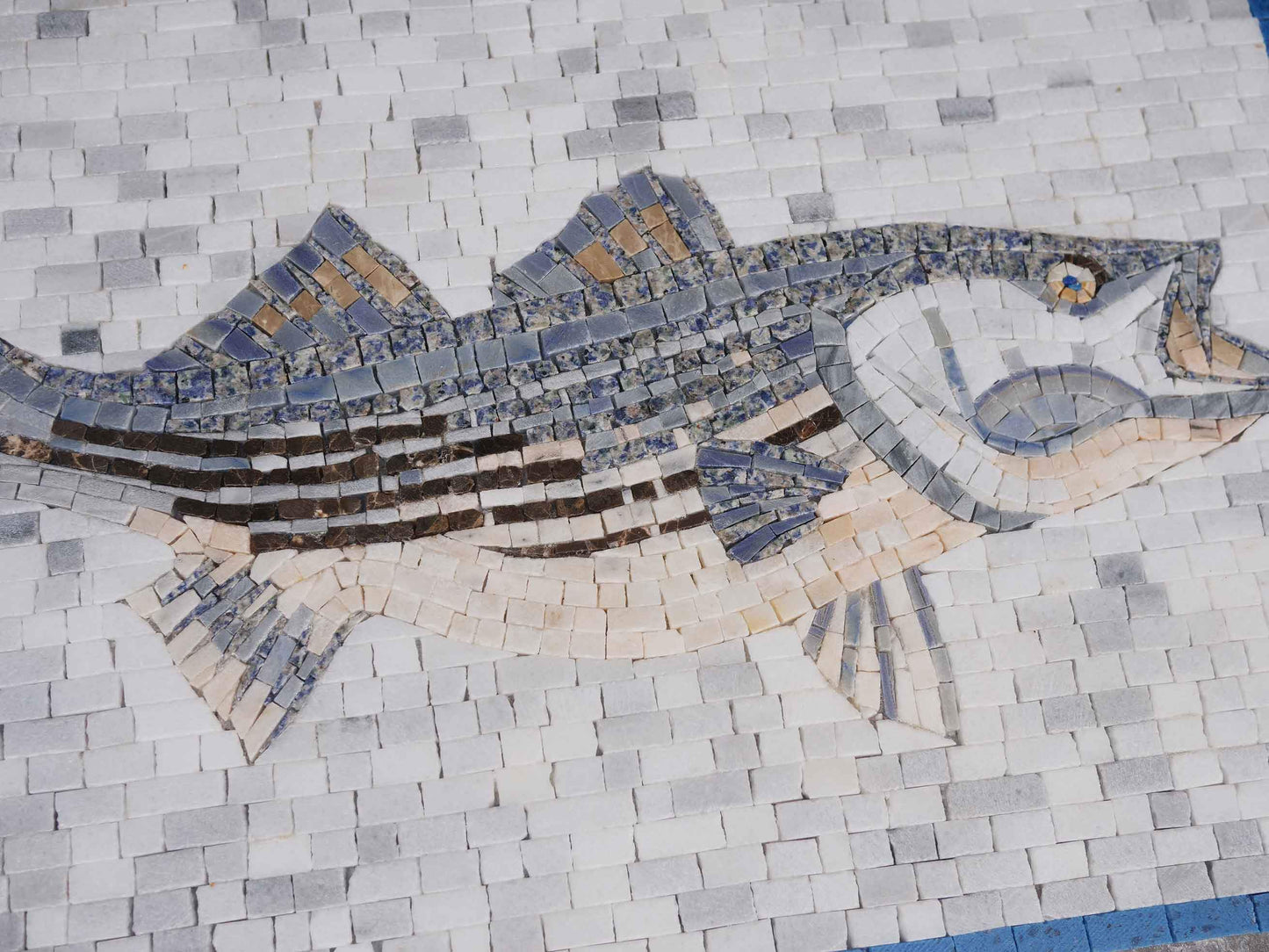 Fish Marble Mosaic