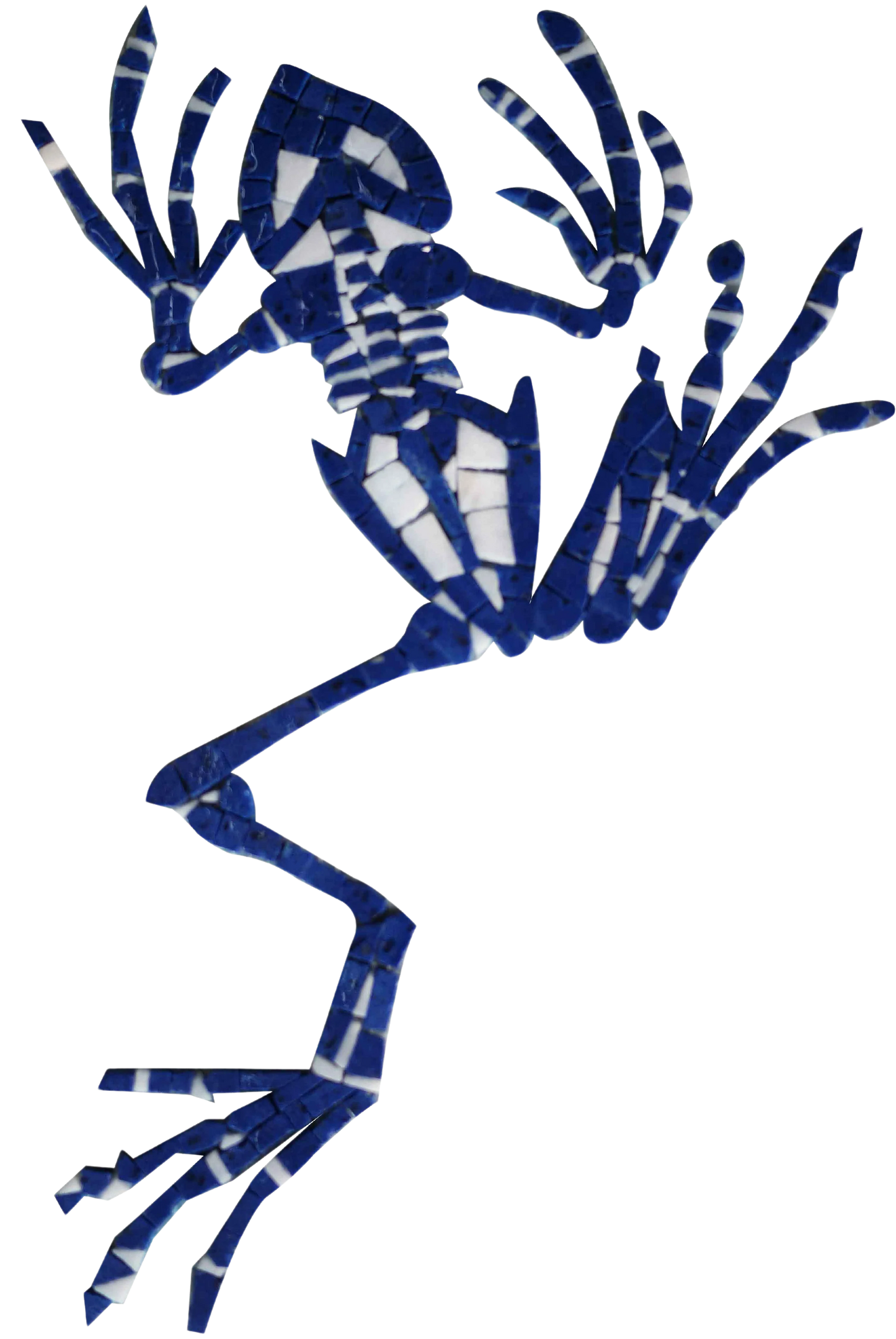 Frog Skeleton - Marble Mosaic Art