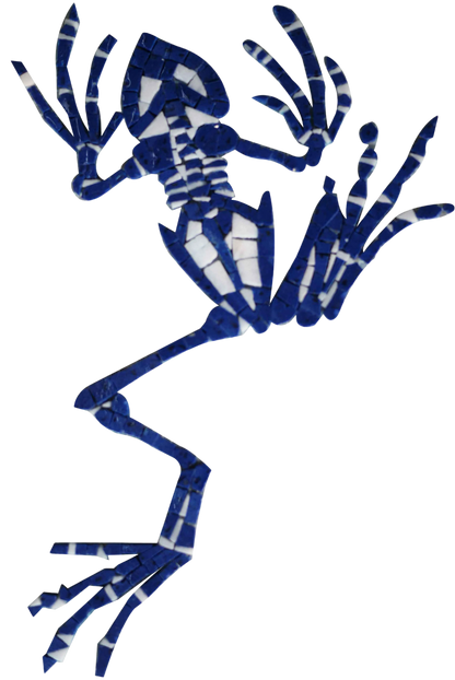 Frog Skeleton - Marble Mosaic Art
