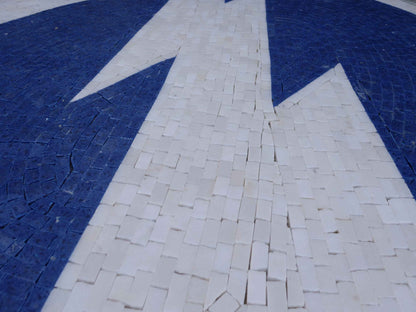 Flash Mosaic Medallion