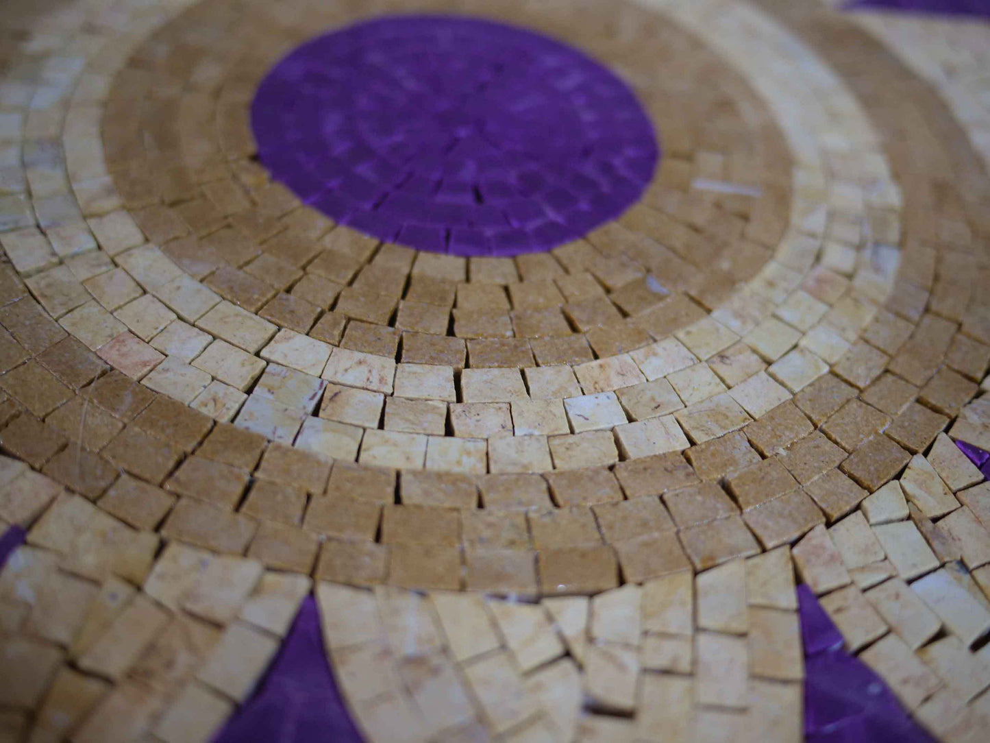 Mosaic Medallion - Beige Sunflower