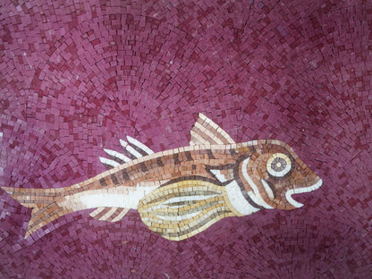 Underwater Mosaic: A Marine Life Medley