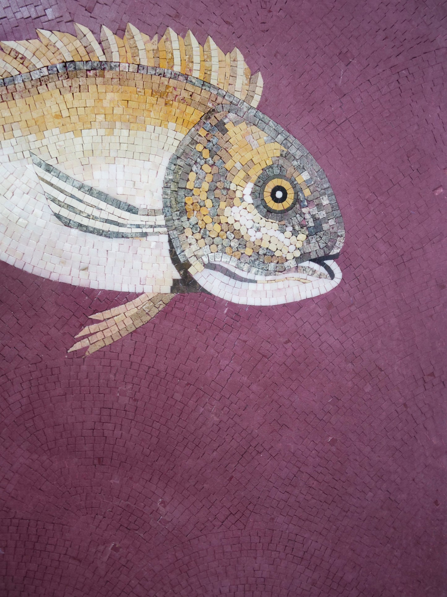 Underwater Mosaic: A Marine Life Medley