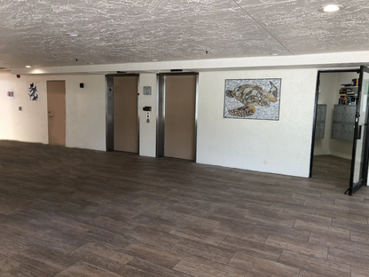 Mosaic Art - Sea Turtle