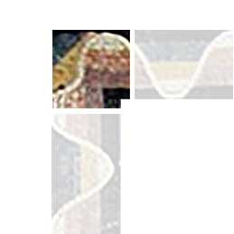 Mosaic Corner - Wavy Ovals