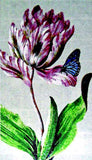 Flower Mosaic Art - Celosia