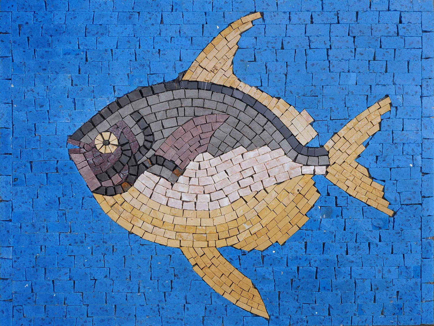 Gilt Head Bream - Fish  Mosaic Art