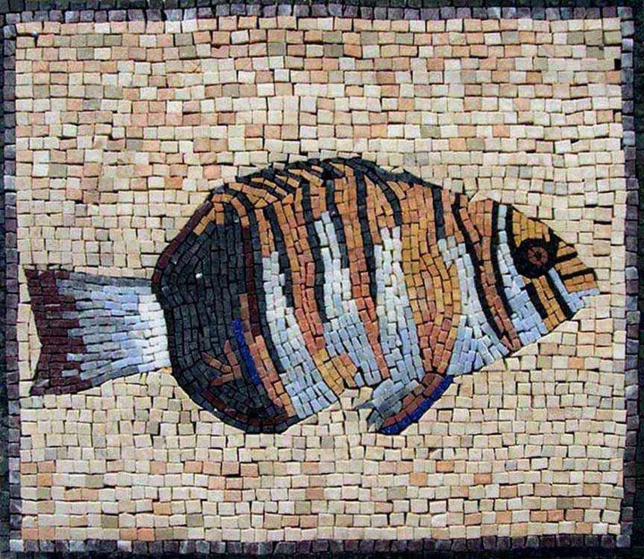 Mosaic Designs - Harlequin Tuskfish from The Great Barrier Reef