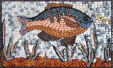 Colored Fish Mosaic