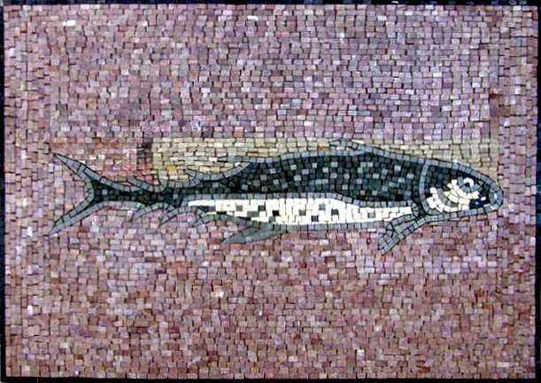 Light Colored Fish Mosaic