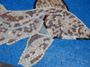 Winged Fish - Mosaic Design - Wall Art