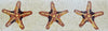 Mosaic Patterns - Starfish