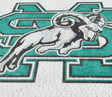 Saint Mary School Logo - Mosaic Art