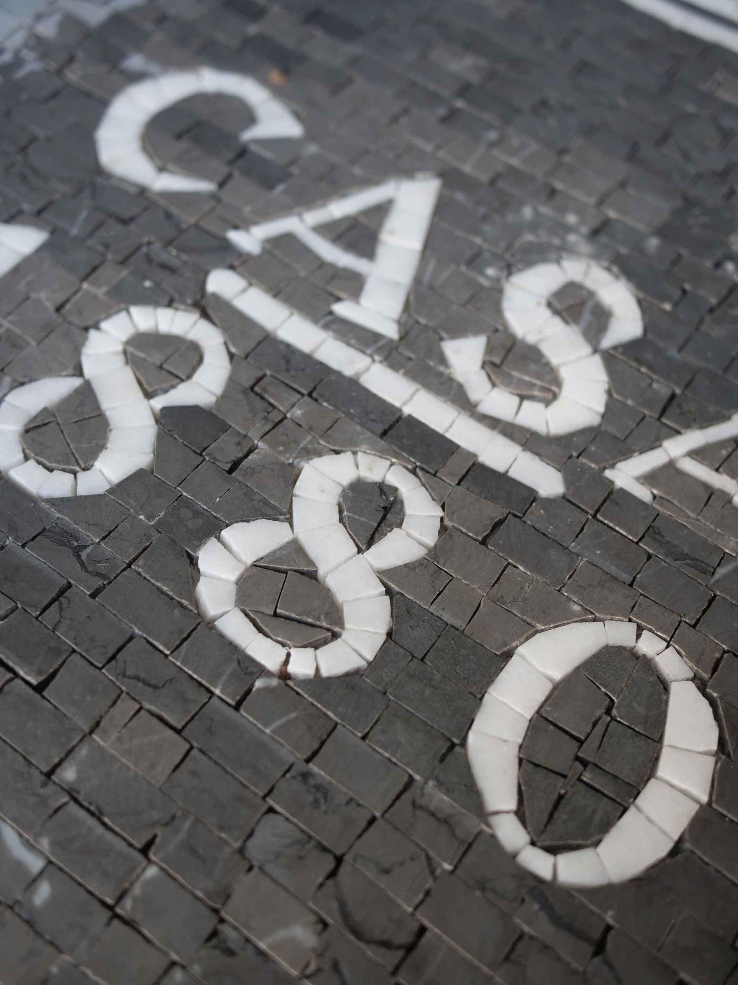 Custom Mosaic Art - Casa 1880