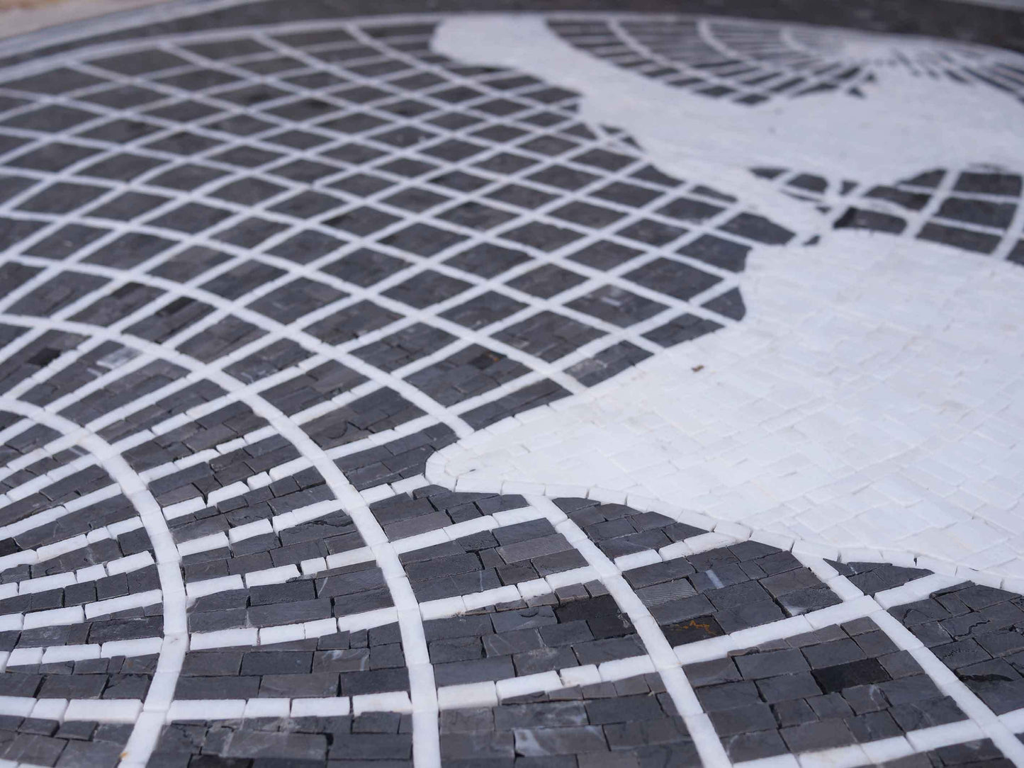 Custom Mosaic Tile - Baja Explorers Club