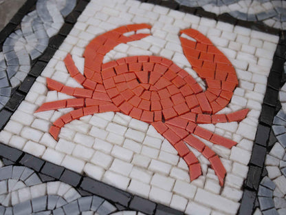 Crab On white In A Blue Frame