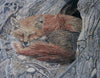 Animal Mosaic Art - Sleepy Foxy